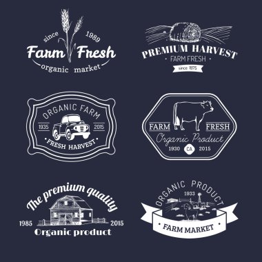 çiftlik taze Logotype Retro kümesi.
