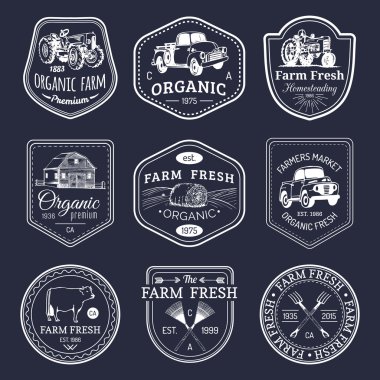 çiftlik taze Logotype Retro kümesi.