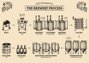 bira infographics bira sürecinin resimli.