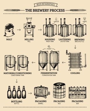 Brewery infographics design. clipart