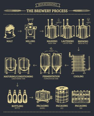 Vektör bira infographics