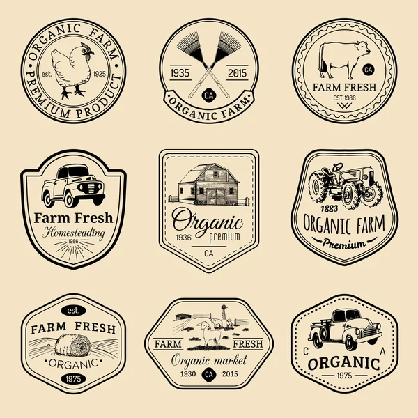 Conjunto de logotipos frescos de fazenda . — Vetor de Stock