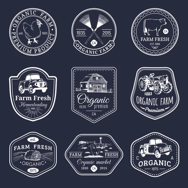 Retro set of farm fresh logotypes. — Stock Vector