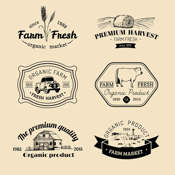 Conjunto retrô de logotipos frescos de fazenda . — Vetor de Stock