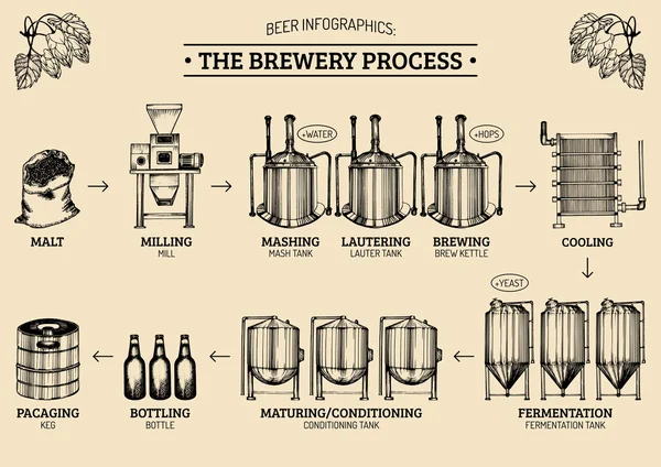 Infografiki piwo z ilustracjami browar procesu. — Wektor stockowy