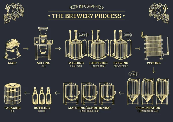 Infografica della birra vettoriale con illustrazioni del processo di fabbricazione della birra. Progettazione infografica birreria . — Vettoriale Stock