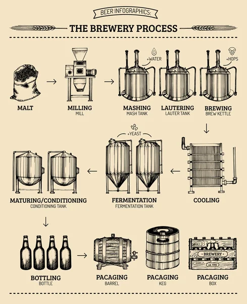 Conception infographique de brasserie . — Image vectorielle