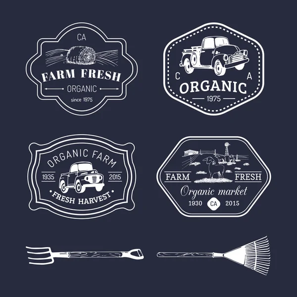 Ensemble de logotypes frais de ferme . — Image vectorielle