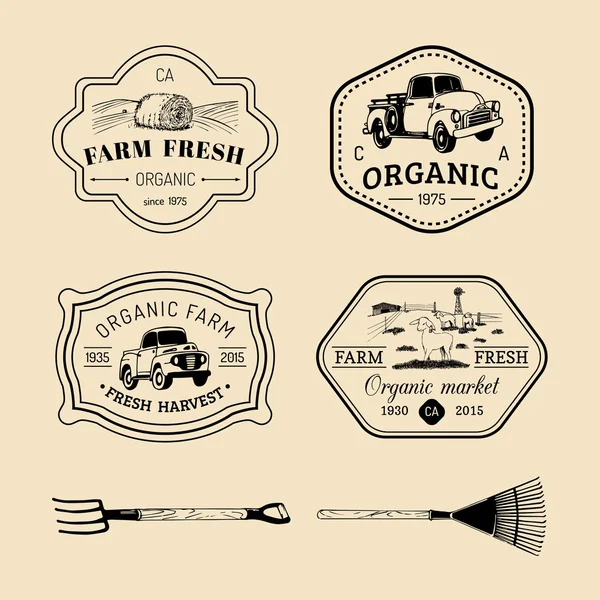 Ensemble rétro de logotypes frais de ferme . — Image vectorielle