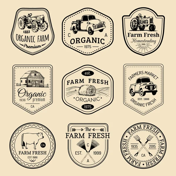 Retro set of farm fresh logotypes. — Stock Vector