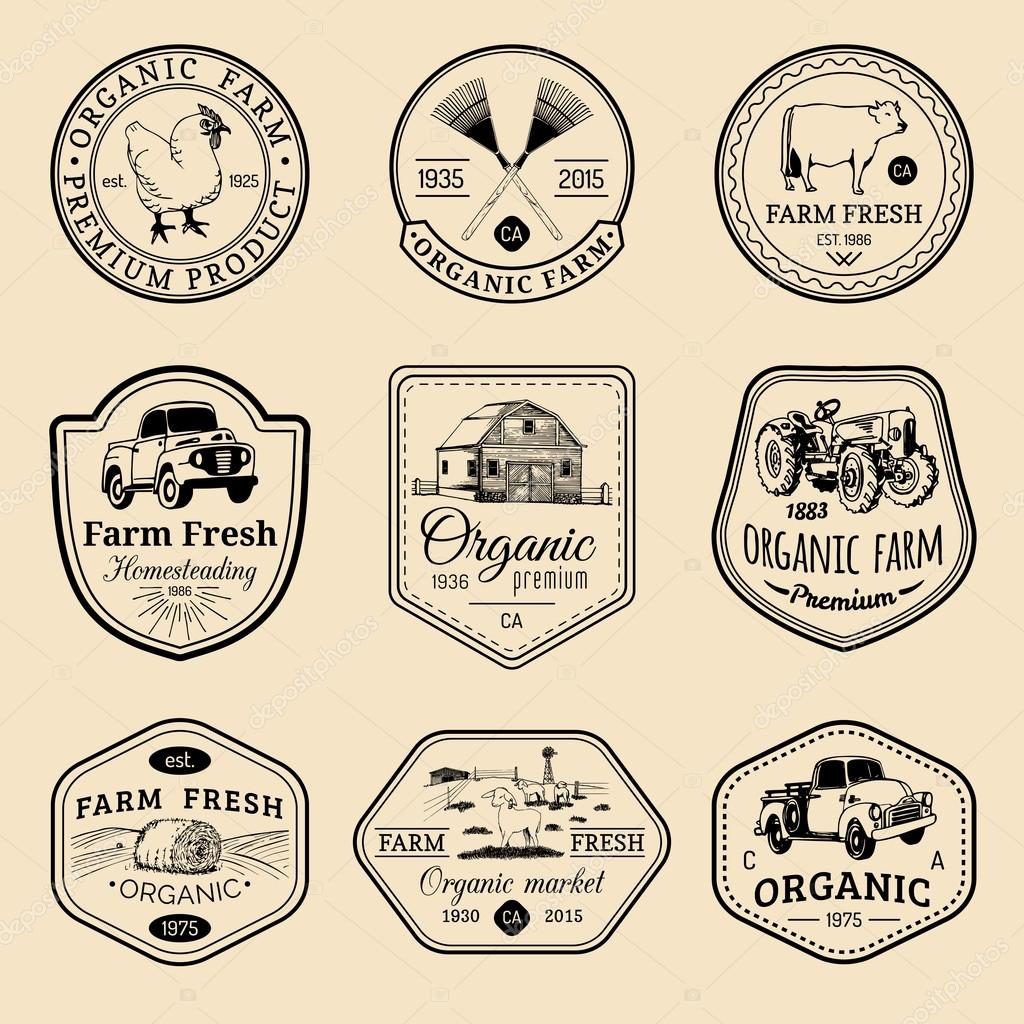 Vector retro set of farm fresh logotypes. Vintage farm logo collection. Organic farm logo set. Farm signs.