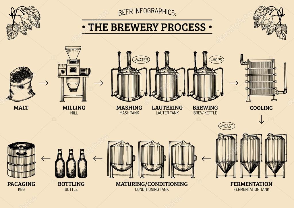 Beer infographics with illustrations of brewery process. — Stock Vector