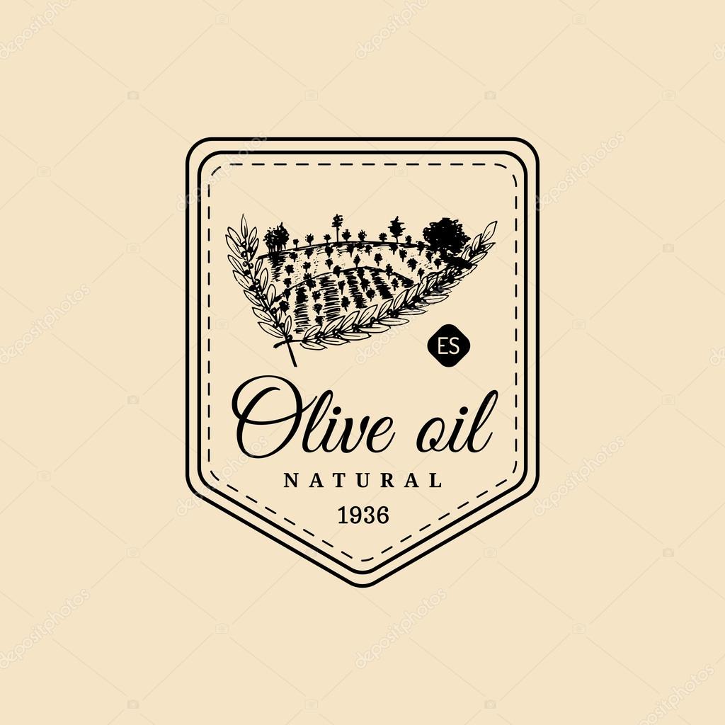 Vector vintage olive oil logo. Retro logotype with olive. Olive oil sign.