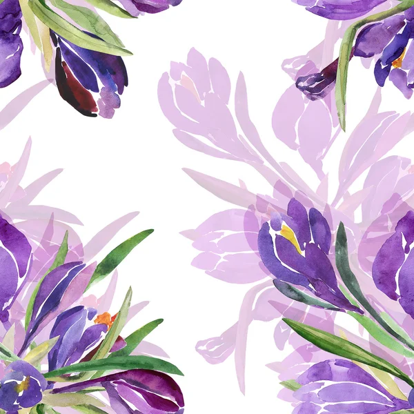 Бесшовная акварельная иллюстрация цветов крокуса — стоковое фото