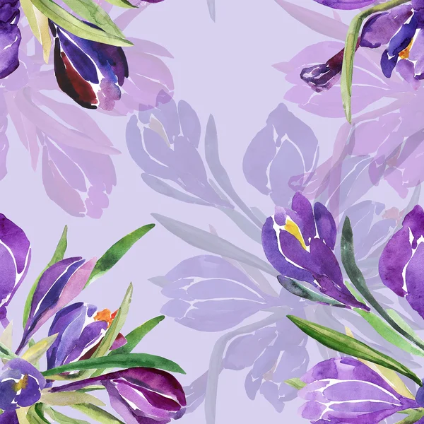 Bezešvé akvarel ilustrace crocus květin — Stock fotografie