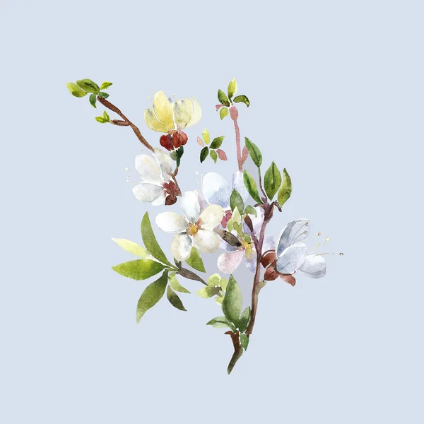 Aquarelle sans couture printemps fleurs branches d'abricot — Photo