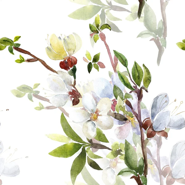 Naadloze aquarel voorjaar bloeiende takken van de abrikoos — Stockfoto