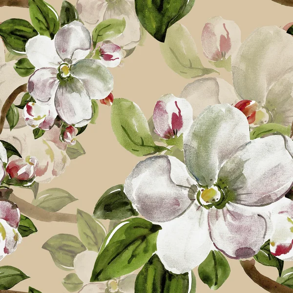 Flowers of apple seamless pattern on a colored background — Stock Photo, Image