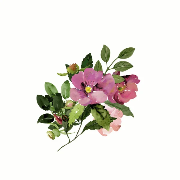Ramos ilustração sem costura com flores de rosa quadris — Fotografia de Stock