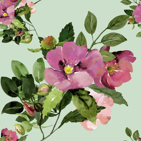 Ramas de ilustración sin costuras con flores de rosa mosqueta —  Fotos de Stock