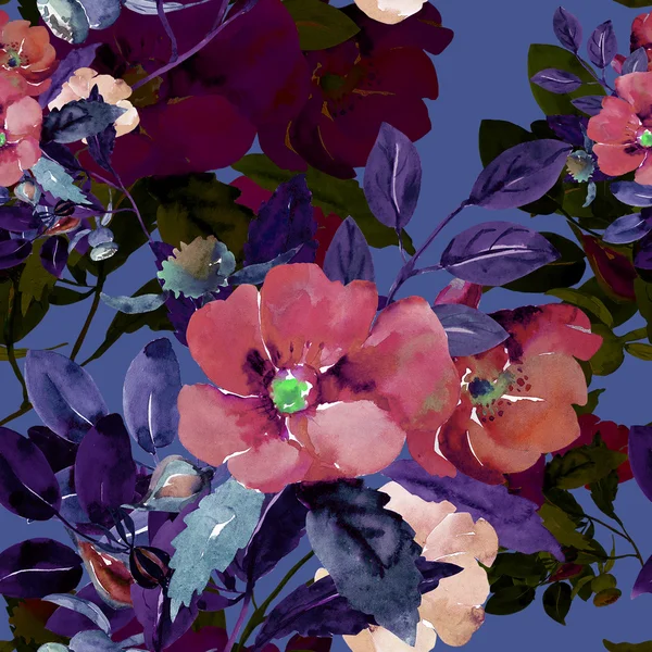 Bezešvé ilustrace větve s květinami z Šípkové růže — Stock fotografie