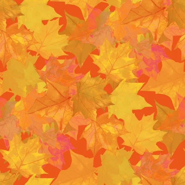 Seamless Pattern Autumn Maple Leaves Textile Design Art Picture White — Stock Photo, Image