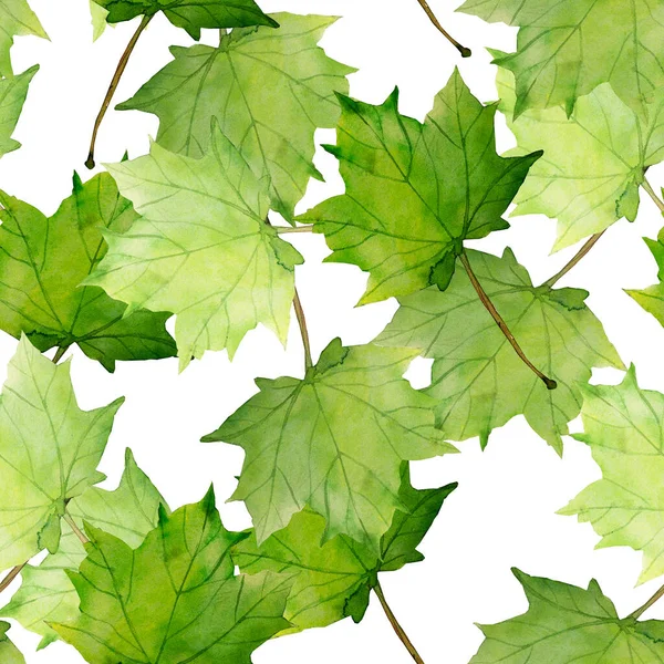 Javorové Listy Různé Podzimní Listy Obrázek Bílém Barevném Pozadí — Stock fotografie