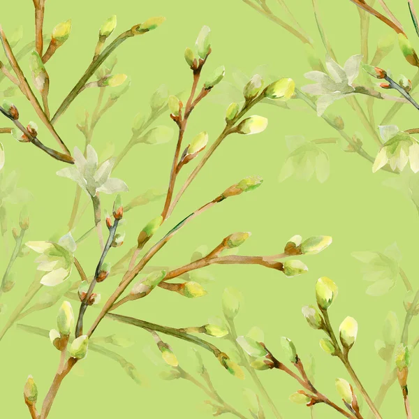 Watercolor Illustration Flowering Branch Motive Tree Branch Image White Colored — Stock Photo, Image