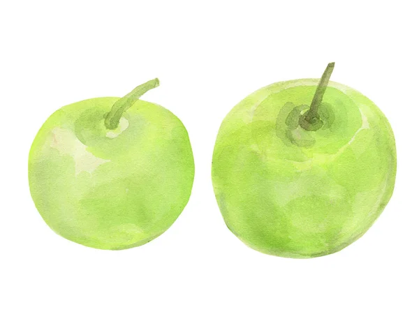 Акварельне Яблуко Зображення Білому Тлі — стокове фото