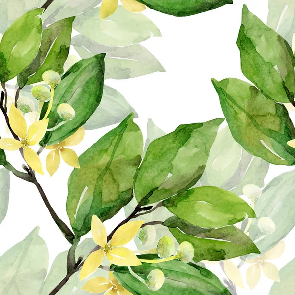 Watercolor Laurel Branch Seamless Pattern Image White Colored Background — Stock Photo, Image