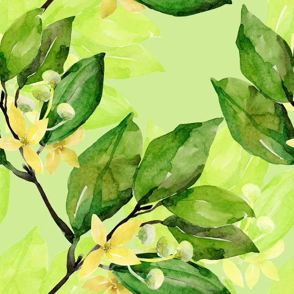 Watercolor Laurel Branch Seamless Pattern Image White Colored Background — Stock Photo, Image