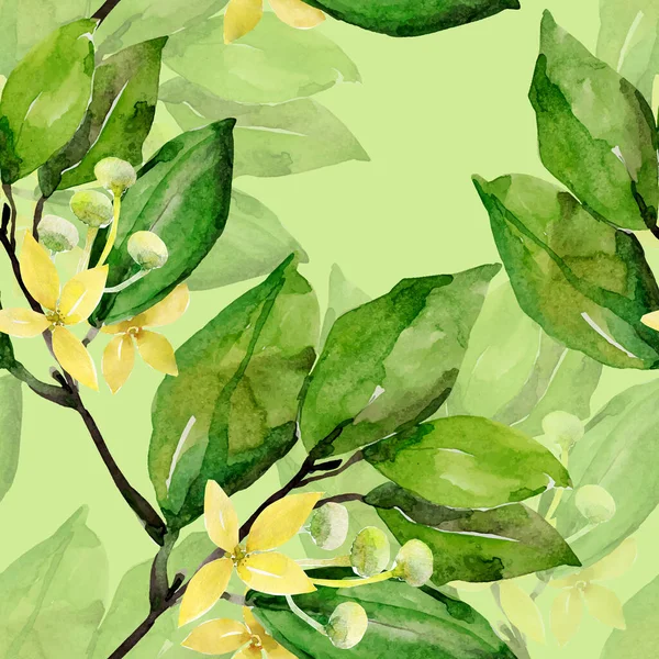 水彩月桂樹の枝シームレスなパターン 白と色の背景上の画像 — ストック写真