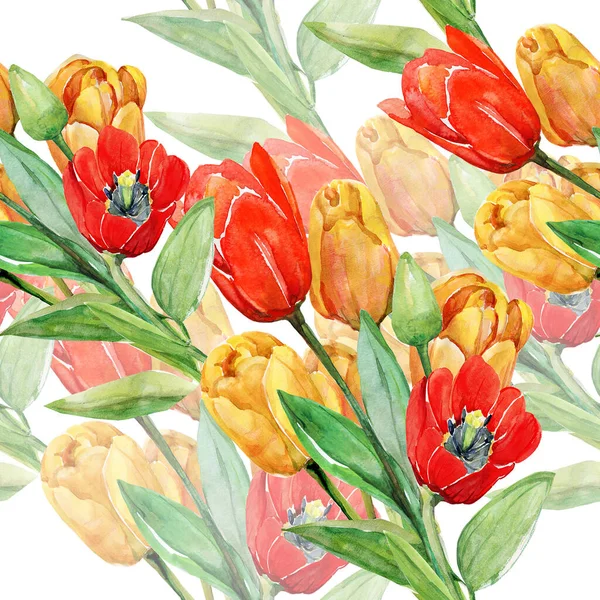 Tulipes Rouges Jaunes Image Sur Fond Blanc Coloré Aquarelle Motif — Photo