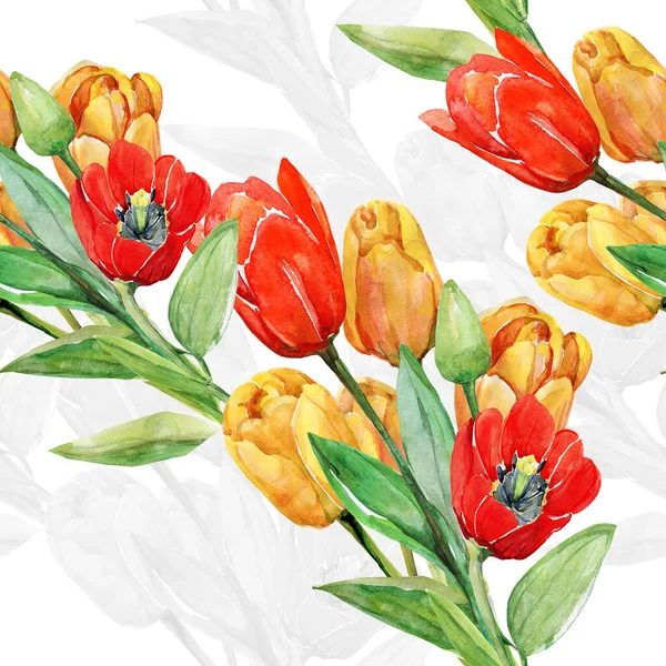Röda Och Gula Tulpaner Image Vit Och Färgad Bakgrund Akvarell — Stockfoto