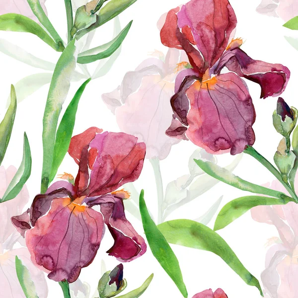 Irises Seamless Pattern Image White Colored Background — Stock Photo, Image
