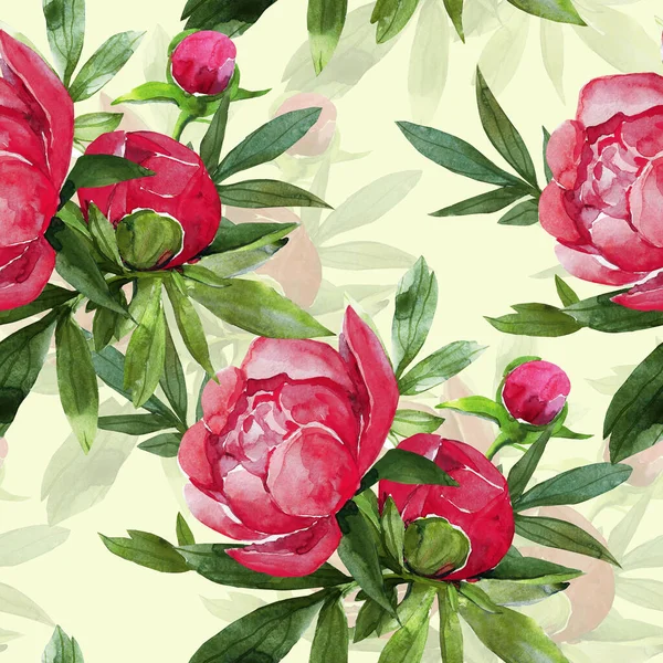 Pivoines Motif Sans Couture Fleurs Aquarelle Illustration — Photo