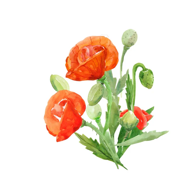 Poppies Pattern Image White Colored Background — Stock Photo, Image