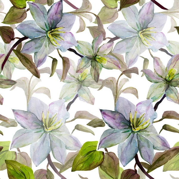 Aquarelwit Bloemen Afbeelding Witte Gekleurde Achtergrond Naadloos Patroon — Stockfoto