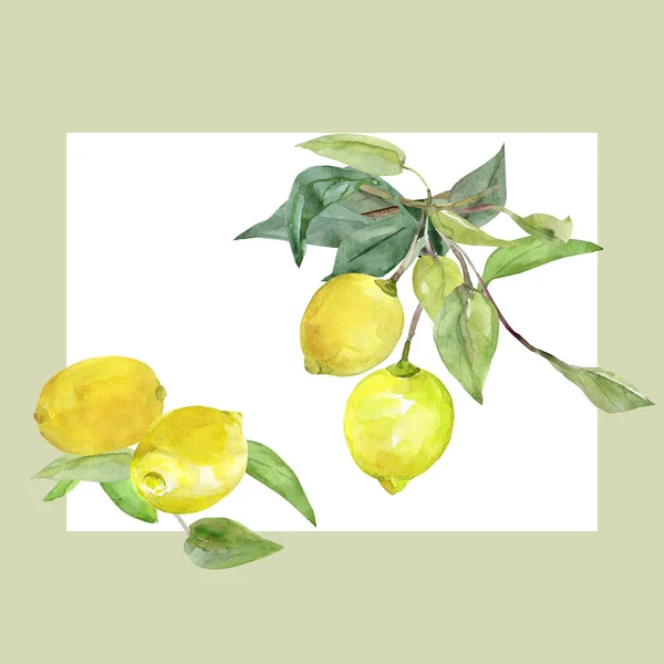 Nahtloses Muster Zitrone Auf Weißem Und Farbigem Hintergrund — Stockfoto