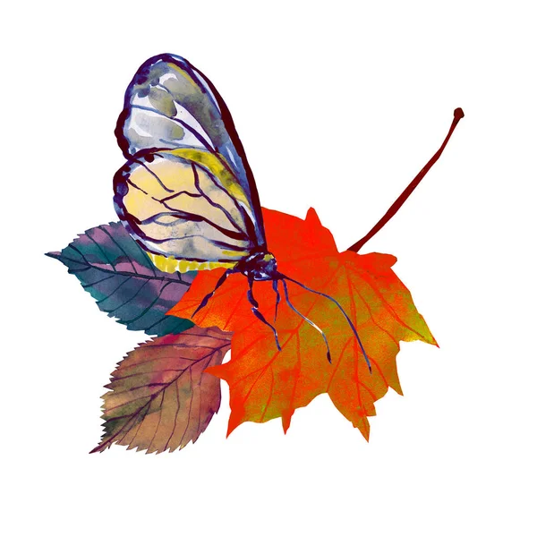 Natur Hösten Bild Vit Och Färgad Bakgrund — Stockfoto