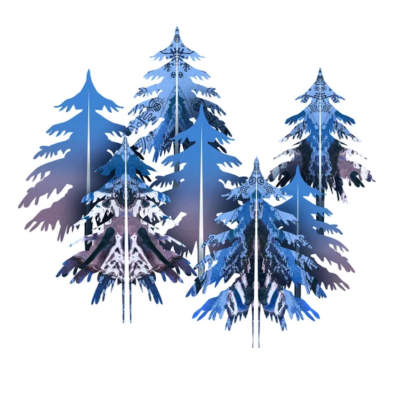 Blue  fir trees — Stock Photo, Image