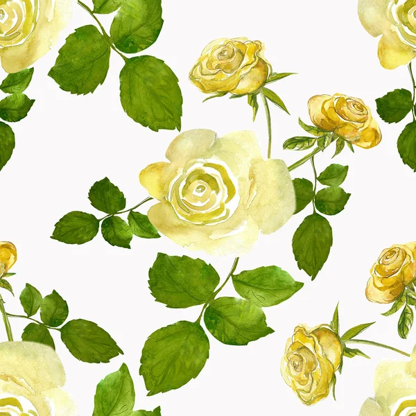 Sárga Rózsa minta — Stock Fotó