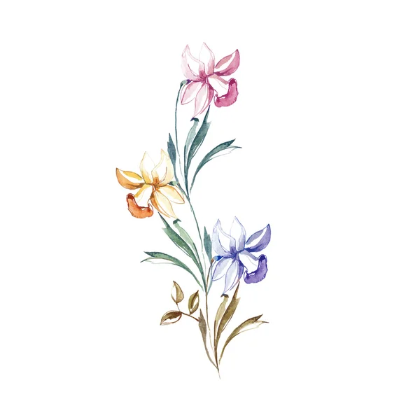 Flores narciso primavera — Fotografia de Stock