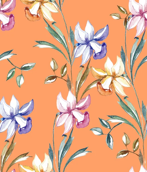 Нарцисів різнокольорових квітів — стокове фото