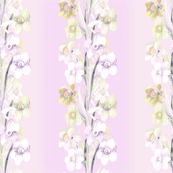 Narciso rosa flores —  Fotos de Stock