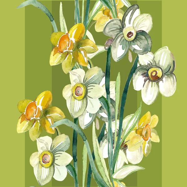 Kleurrijke narcissus bloemen — Stockfoto