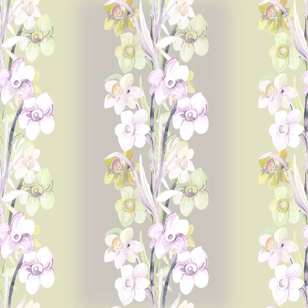 Νάρκισσος πολύχρωμα λουλούδια — Φωτογραφία Αρχείου