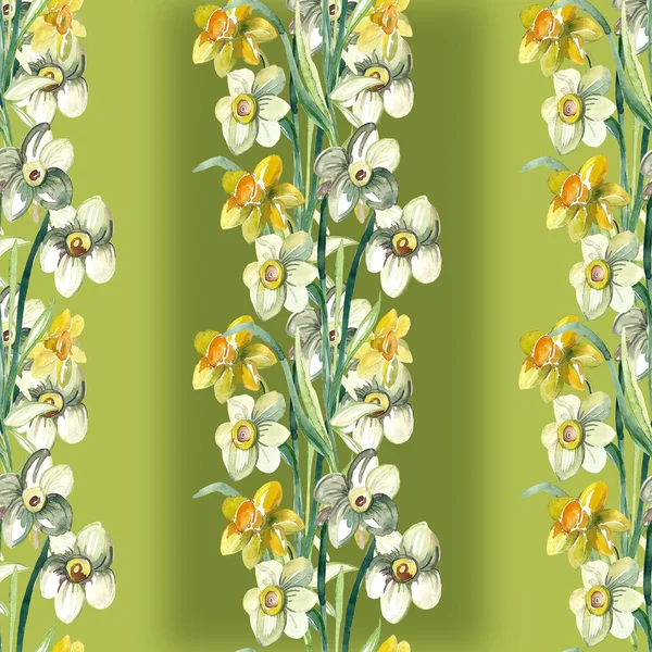 Fleurs narcisses colorées — Photo
