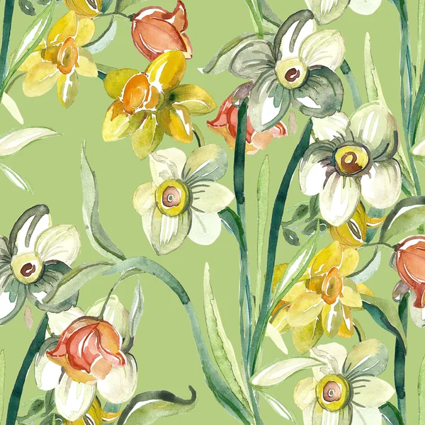 Narcissus flowers pattern — Stock Photo, Image