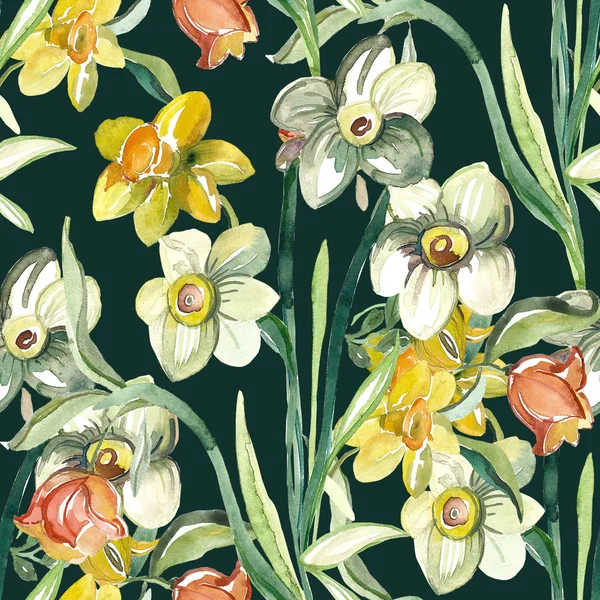 Narcissus flowers pattern — Stock Photo, Image